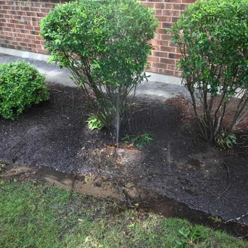 017a7d30-a58e-40a8-81f8-05805f10acf2