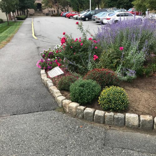 bf5d7371-a570-496f-9eb2-a4fdf3db58b7