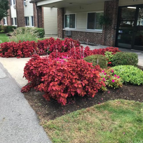 df22e4e0-6e21-4b42-bb6e-587c8cac3990